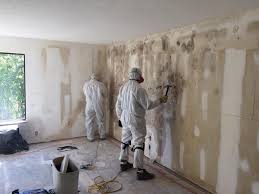 Best Forensic Mold Investigation in Los Altos, CA